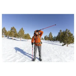 Alps Mountaineering Conquest Trekking Pole -US Camping Equipment Sales Shop 2022 alps mountaineering winter 010