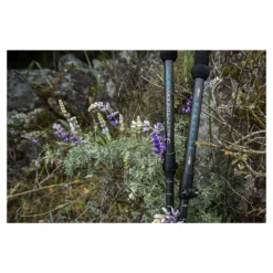 Momentum Trekking Poles 17 Momentum Trekking Poles -US Camping Equipment Sales Shop Momentum Lifestyle 1