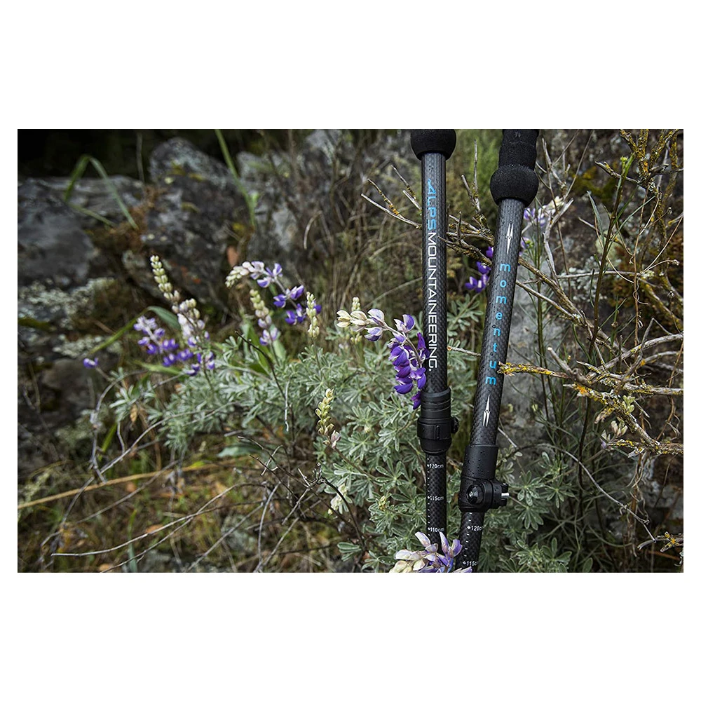 Momentum Trekking Poles 10 Momentum Trekking Poles - Image 8