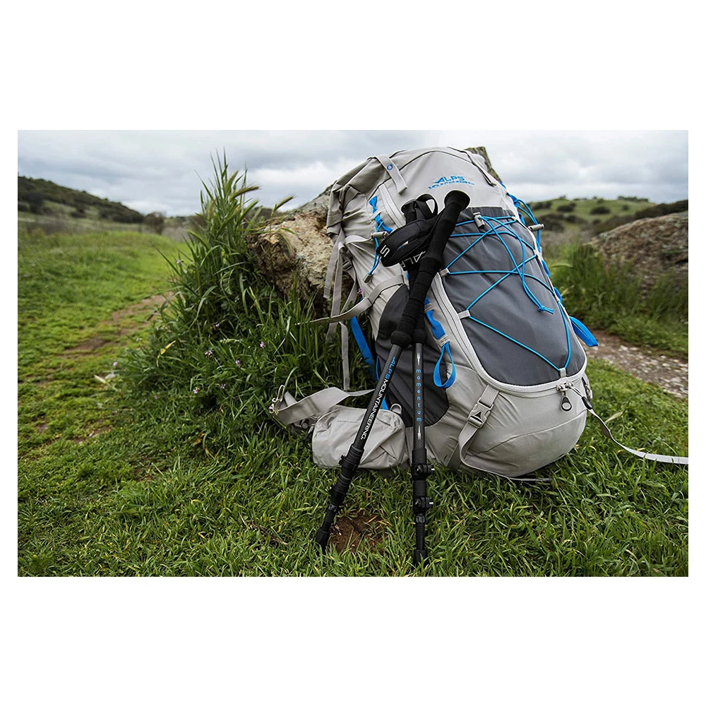 Momentum Trekking Poles 9 Momentum Trekking Poles - Image 7