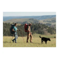 Alps Mountaineering Conquest Trekking Pole -US Camping Equipment Sales Shop conquest trekking poles B0784692DC PT06